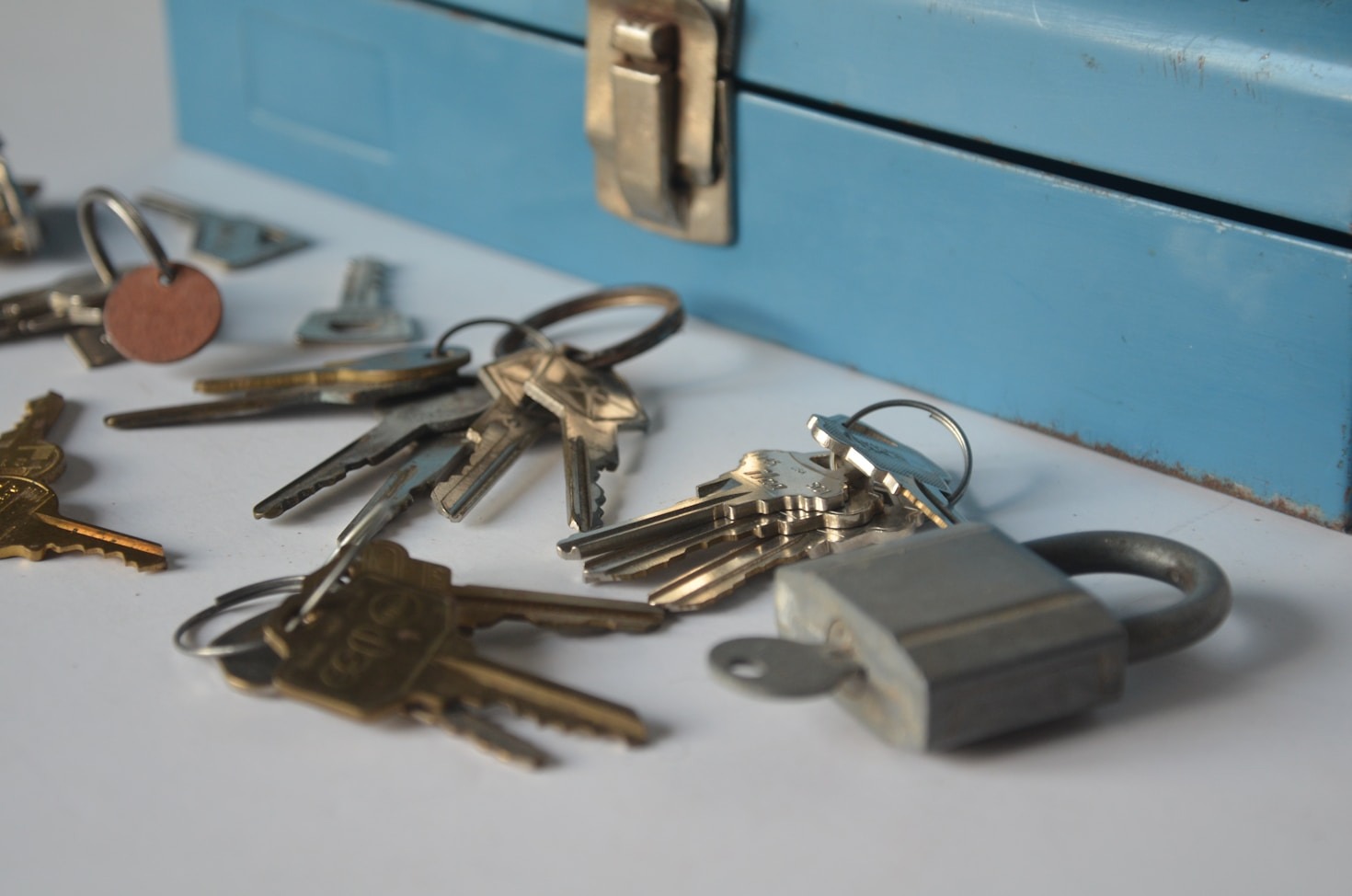 Why Proactive Property Care Saves You Money